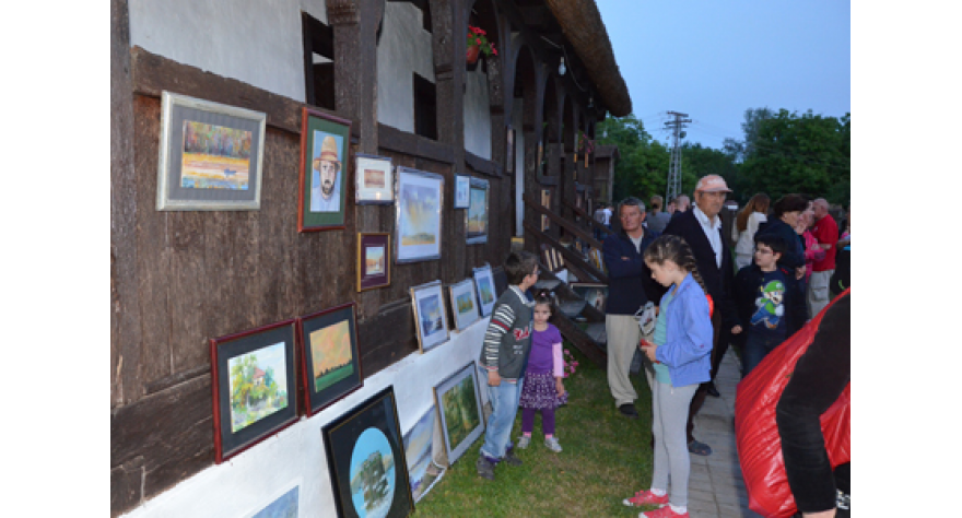 Уметничка страна Купинова